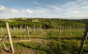 Percorsi OUTDOOR – a piedi e MBT – per scoprire Cherasco e i suoi dintorni