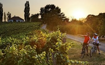 IL PIEMONTE IN BICI – ITINERARI NELLE LANGHE
